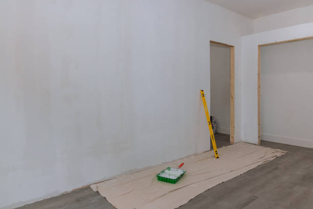 Best Water Damage & Mold Remediation  in Bolingbrook, IL