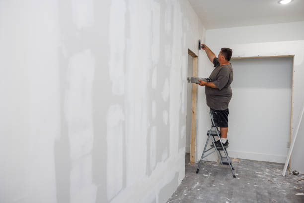 Best Mold Odor Removal Services  in Bolingbrook, IL