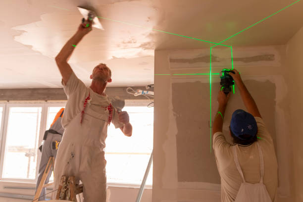 Best Real Estate Mold Inspection  in Bolingbrook, IL