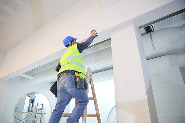  Bolingbrook, IL Mold Removal Pros