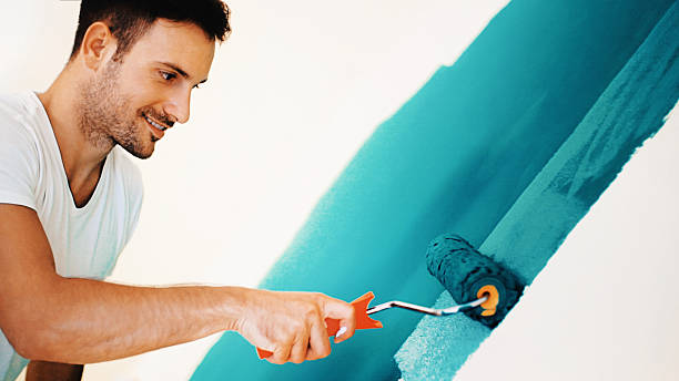 Mold Documentation for Insurance Claims in Bolingbrook, IL