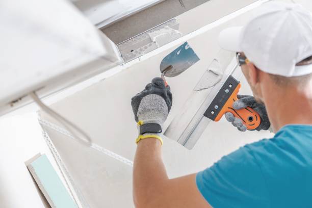 Best Environmental Consulting for Mold Prevention  in Bolingbrook, IL